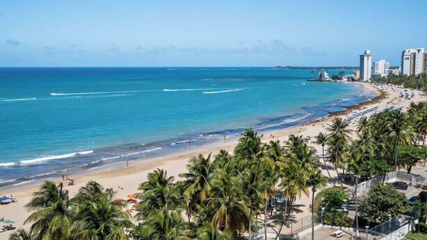 A beach with palm trees, a sandy shore, and a clear blue sky. - Oceanfront Terrace Communal Pool AC (Carolina)