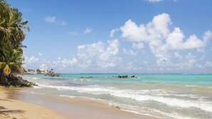 Une plage à l’eau turquoise et limpide, bordée d’un rivage sablonneux et agrémentée de quelques palmiers.