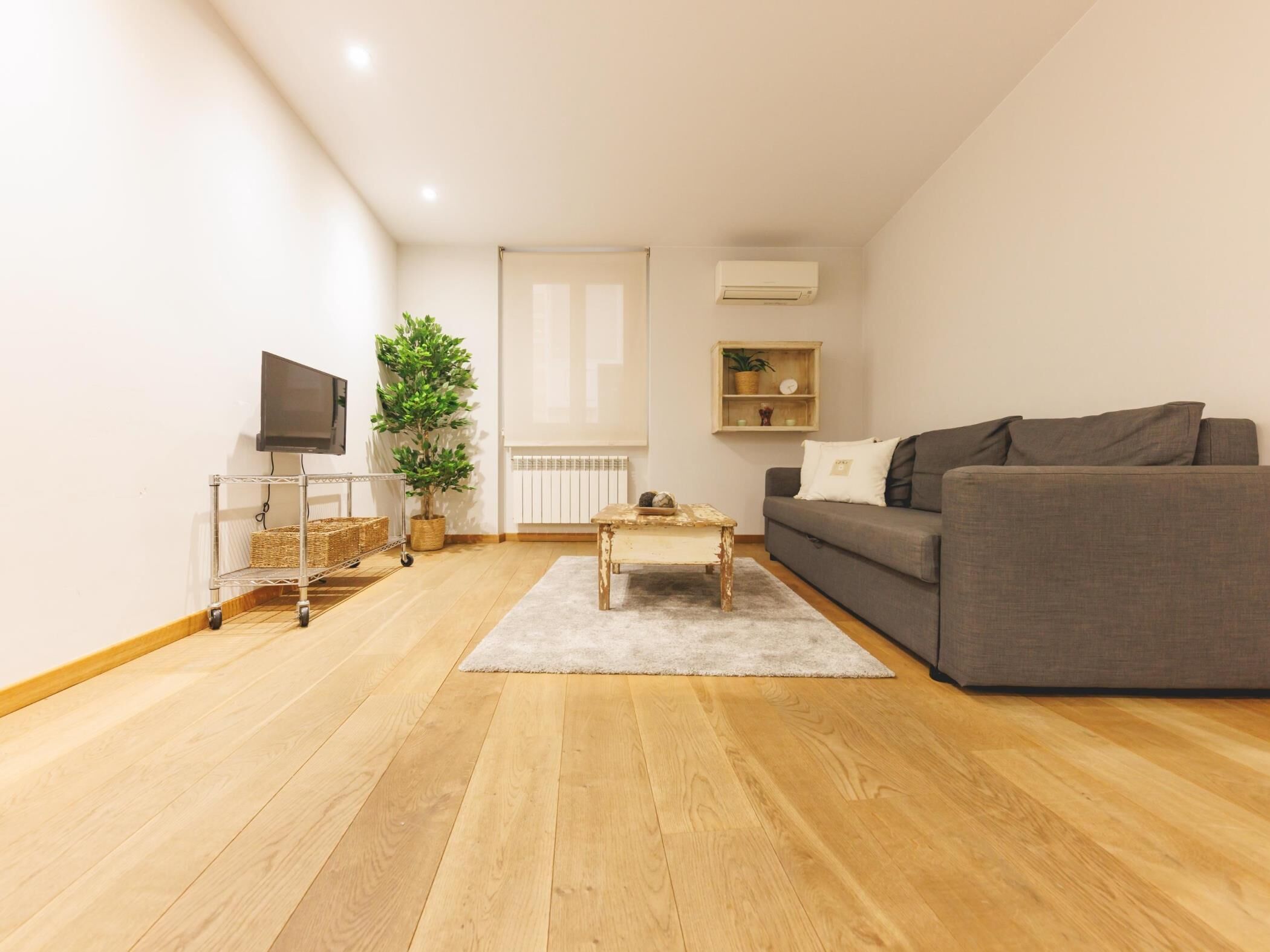Ein modernes Wohnzimmer mit grauem Sofa, einem Holztisch, einem Fernseher auf einem Schrank, einer Topfpflanze und einer Heizung.
