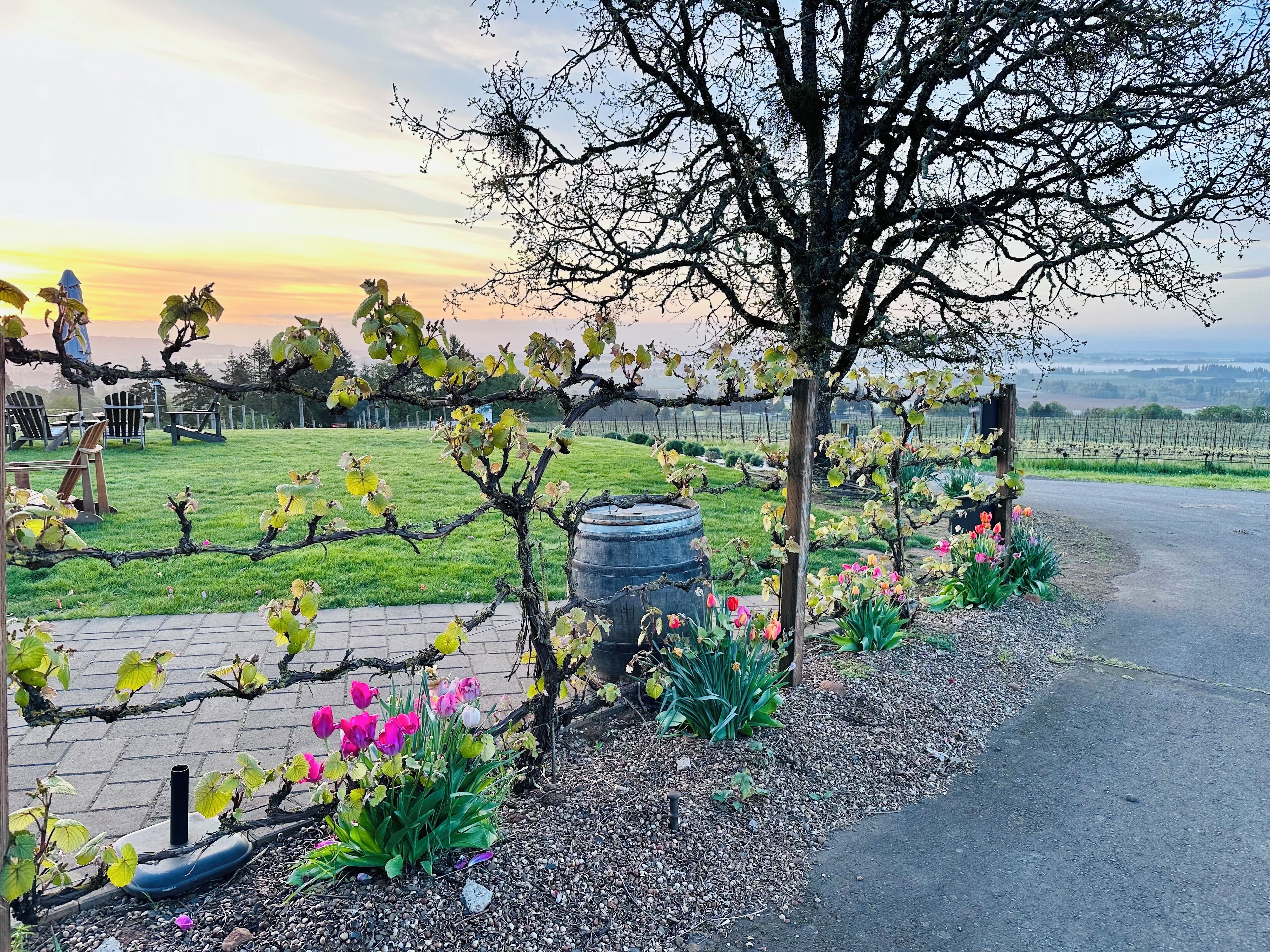 Overnatningsstedets område