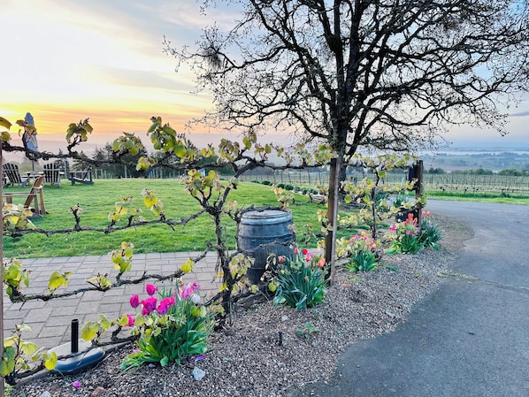 Áreas de la propiedad