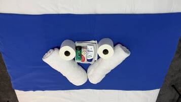 A blue and white striped blanket with two rolls of toilet paper and two bottles of hand soap.