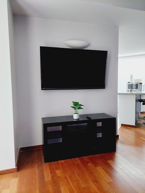 Departamento de lujo, vista al jardín | Televisión