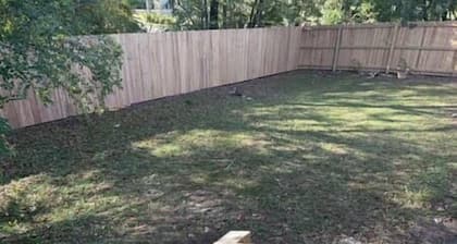 King & Queen Beds Pet Friendly