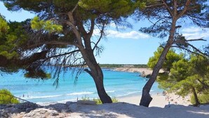 Una platja amb arbres i aigua turquesa.
