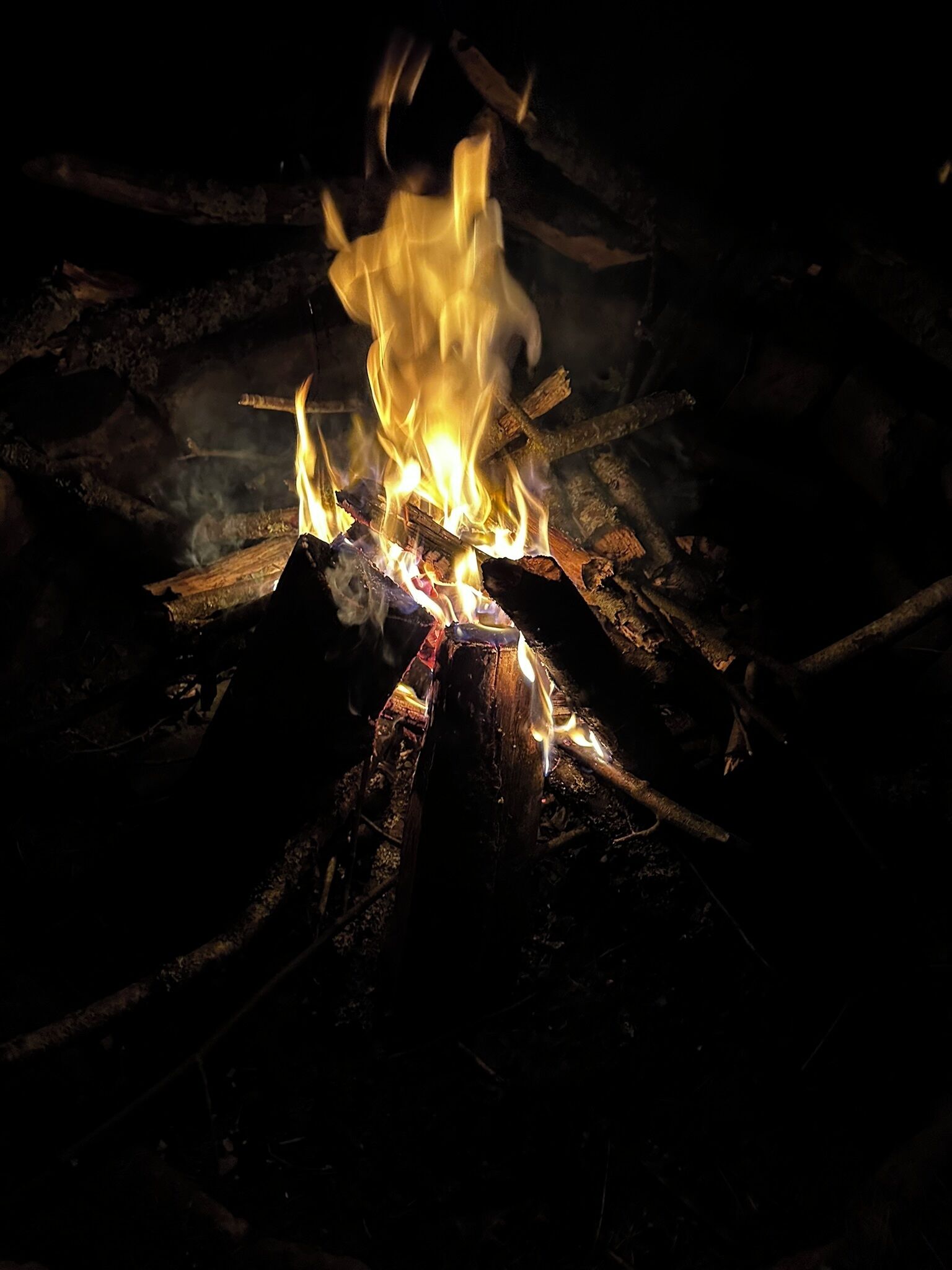 A campfire with logs and flames.