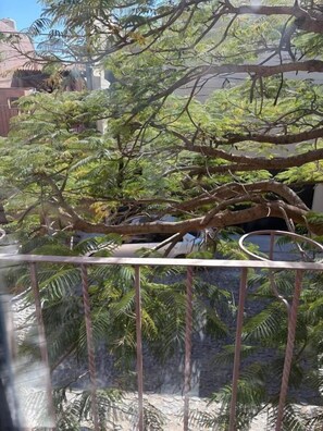 Property grounds - Casa Pila Seca (San Miguel de Allende)