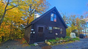 Eksteriør