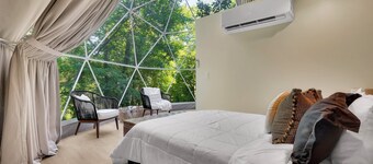 Sycamore Dome | Heart of Amish Country, OH!