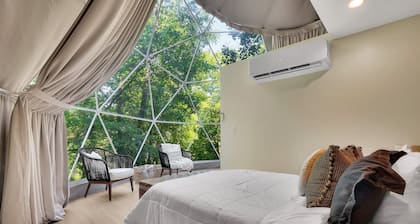 Sycamore Dome | Heart of Amish Country, OH!