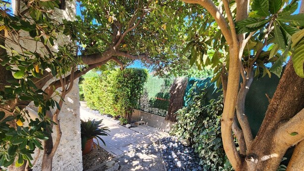 A garden pathway with trees and a hedge. - Gîte Les Alicantes - BAGES (BAGES)