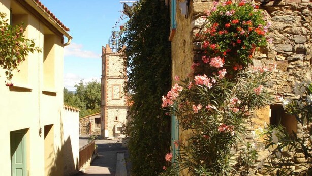 A narrow street with stone buildings, a bell tower, and a potted plant with pink flowers.