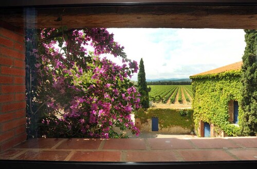 Bougainvillee - THUIR