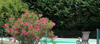 Bougainvillee - THUIR