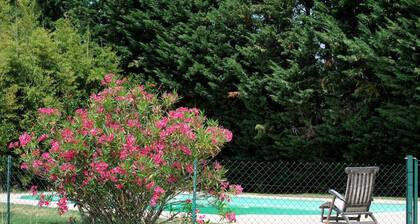 Bougainvillee - THUIR