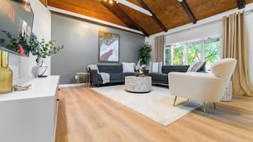 Smart TV, fireplace, books