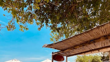 Beach bar