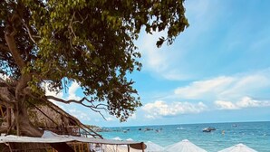 A beach with wooden lounge chairs and a thatched-roof structure. - Rocha Beach Club (Cartagena)