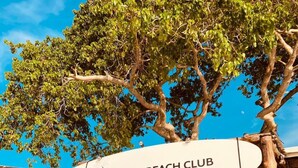A beach club with a wooden structure, a surfboard sign, and tropical fruits displayed. - Rocha Beach Club (Cartagena)