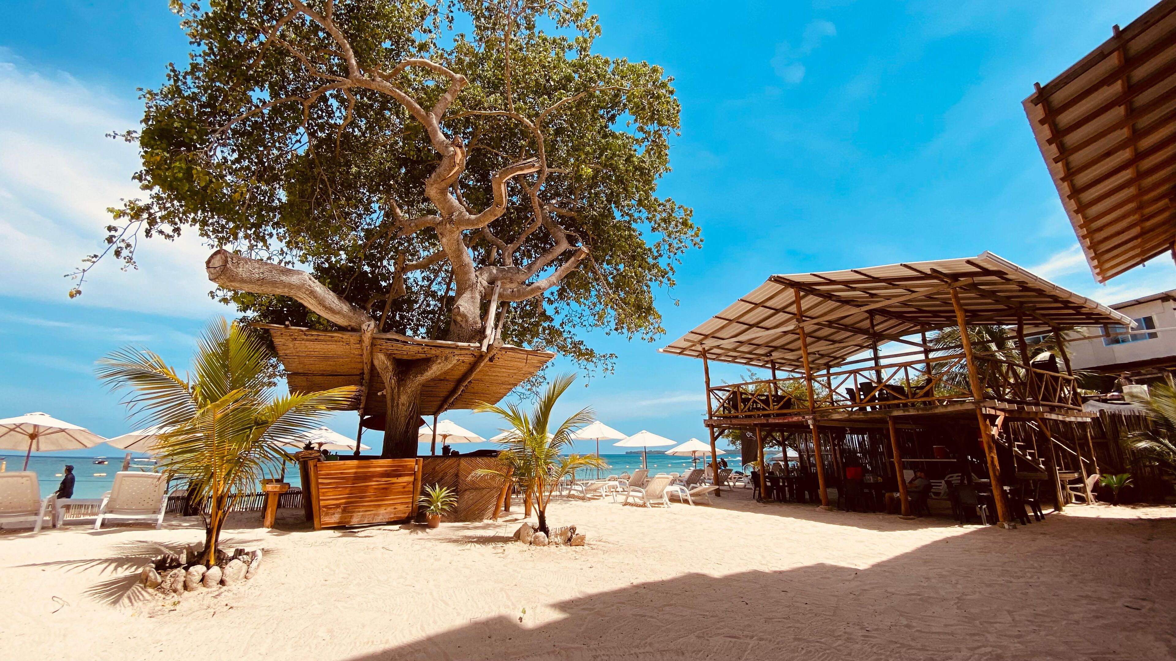 A beachside area with a large tree, wooden structures, and beach chairs.