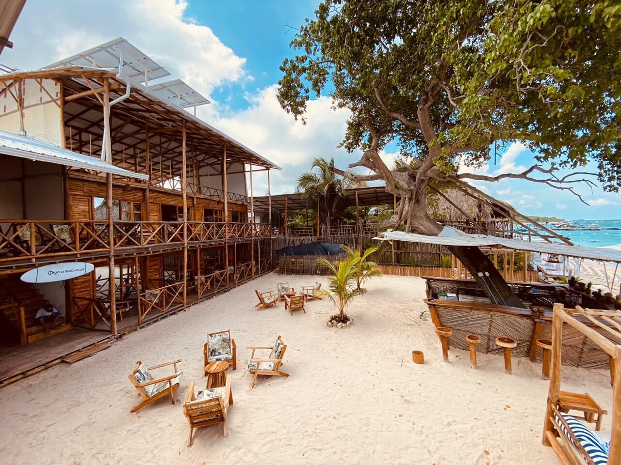 Un restaurant situé en bord de mer, avec une terrasse et un grand arbre qui offre de l’ombre.