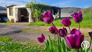 A rustic wooden building with a partially open door, surrounded by lush greenery and purple tulips. - Le Grenier d'Alfred - MOUZIEYS PANENS (MOUZIEYS PANENS)