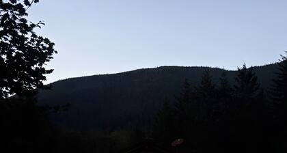 The Fern, Huge Spa-Like Home Near Lake Crescent/Sol Duc • Olympic National Park