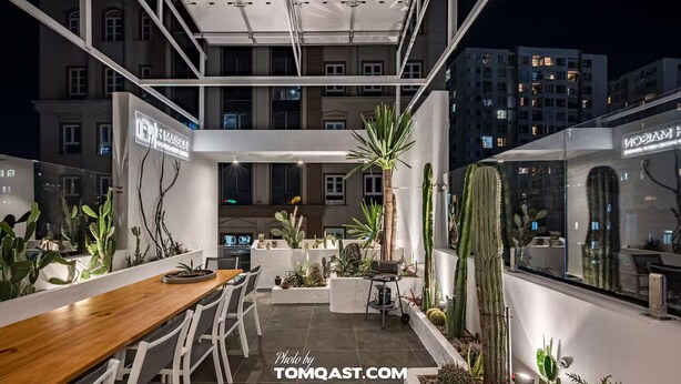 Un giardino interno moderno con un tavolo e sedie di legno, circondato da diverse piante grasse e vegetazione.