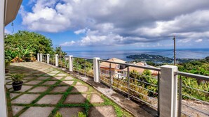 Eine Terrasse mit einem gepflasterten Weg, einem Metallgeländer und Kübelpflanzen.