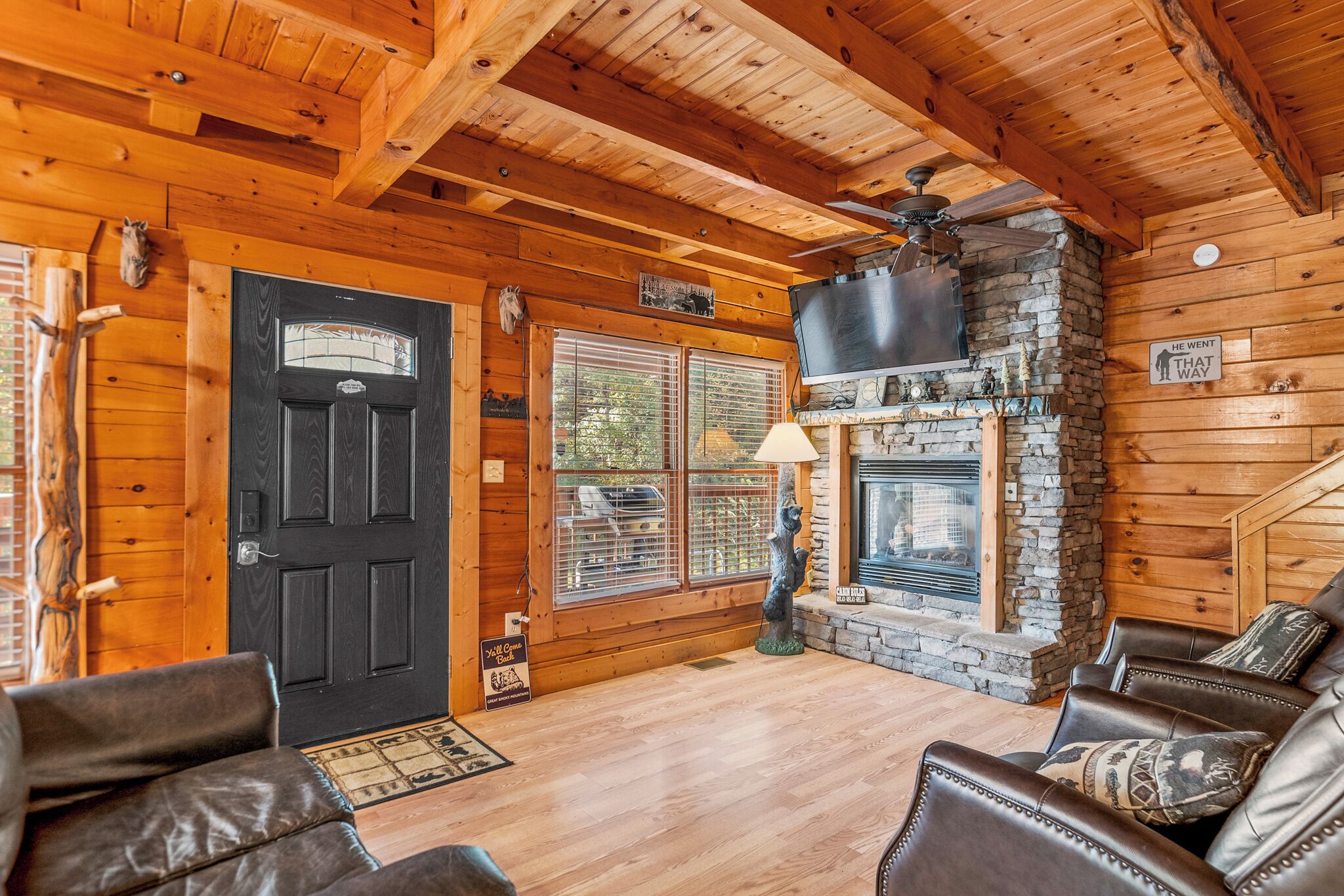 Smart TV, fireplace, books