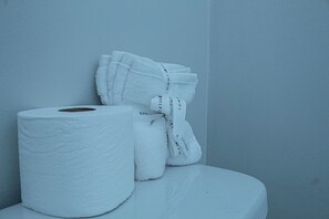 Hair dryer, towels, soap, toilet paper