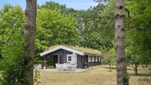 Une cabane au toit de chaume, entourée d’arbres.