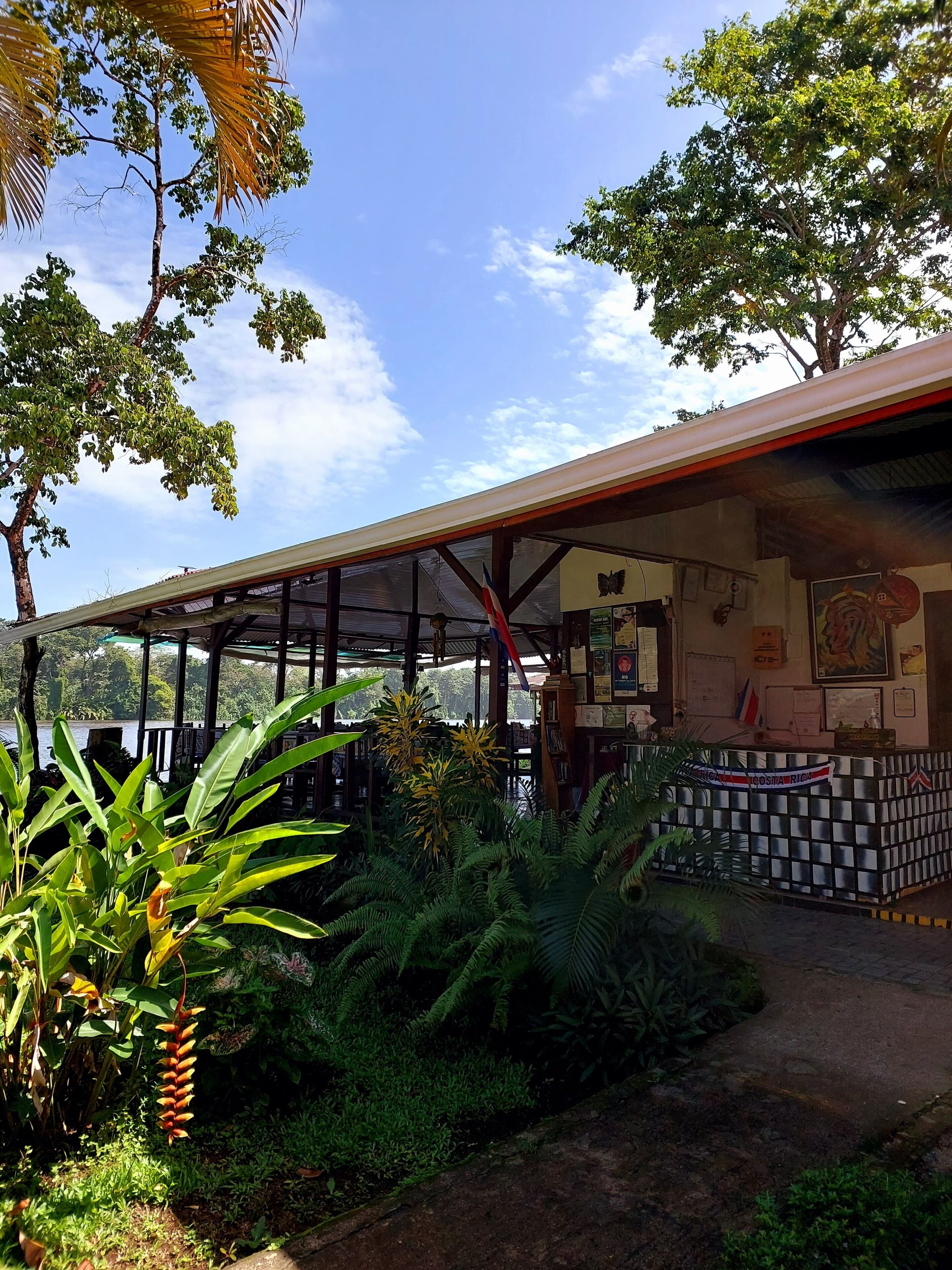 Un espace extérieur abrité, doté d’un comptoir d’accueil, entouré d’une végétation luxuriante et offrant une vue sur la mer.