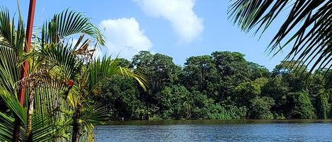 Double Room, Lake View