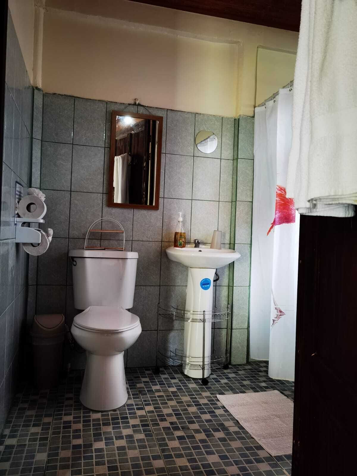 Ein Badezimmer mit Toilette, Waschbecken und Spiegel.