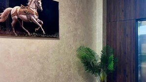 Une pièce avec un mur à texture, un tableau encadré représentant un cheval et une plante en pot.