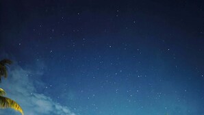 Nattescene med klar himmel, palmer og en træstruktur med rødt tag.