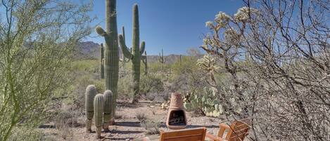 Overnattingsstedets uteområder