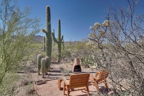 Property grounds - Unwind Poolside, Scenic Sonoran Desert Retreat! (Tucson)