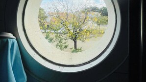 Une fenêtre ronde donnant sur un arbre et des bâtiments.