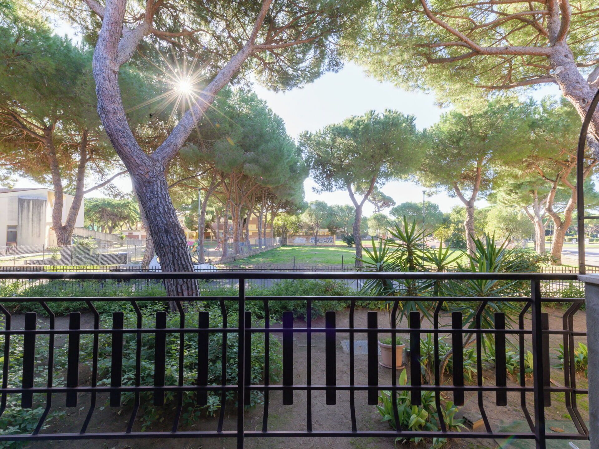 A park with trees and a fence.