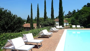 A poolside area with lounge chairs, a swimming pool, and tall cypress trees in the background.