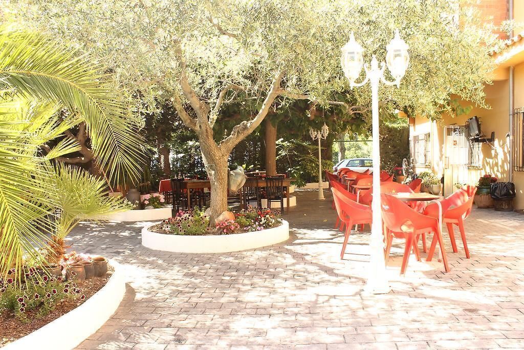 Un área de estar al aire libre con mesas y sillas, rodeada por un jardín con una palmera y diversas plantas.