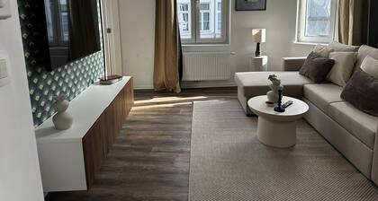Stylish 1BR plus LR Apt Ghent Castle