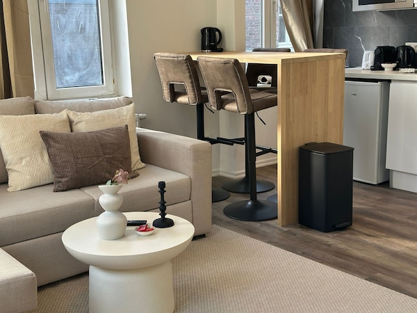 Stylish 1br Plus Lr Apt Ghent Castle - Gand