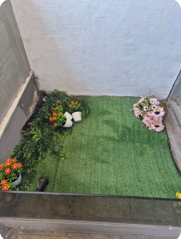 المنطقة المحيطة بالمنشأة