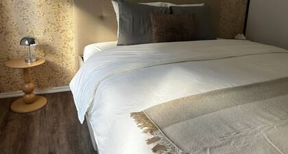 Modern 1BR plus LR Apt Near Gravensteen