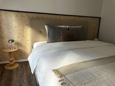 Modern 1BR plus LR Apt Near Gravensteen