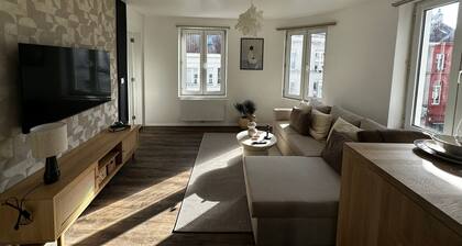 Modern 1BR plus LR Apt Near Gravensteen