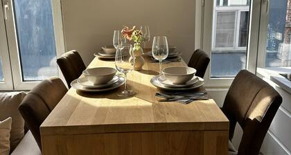 Modern 1BR plus LR Apt Near Gravensteen